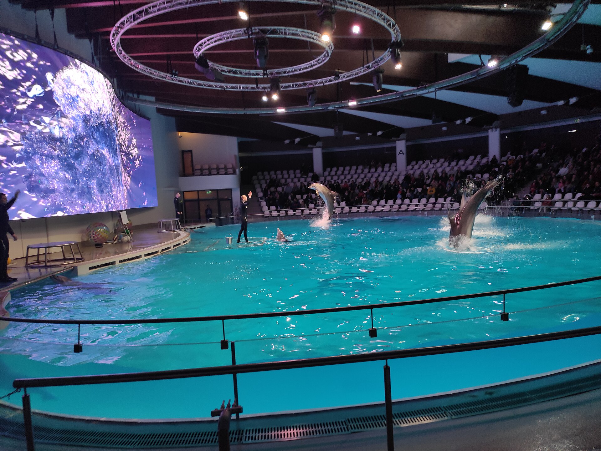 Lithuanian Sea Museum Dolphinarium